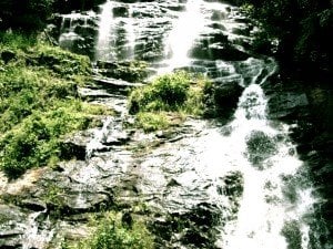 n1304730032_30261710_7251